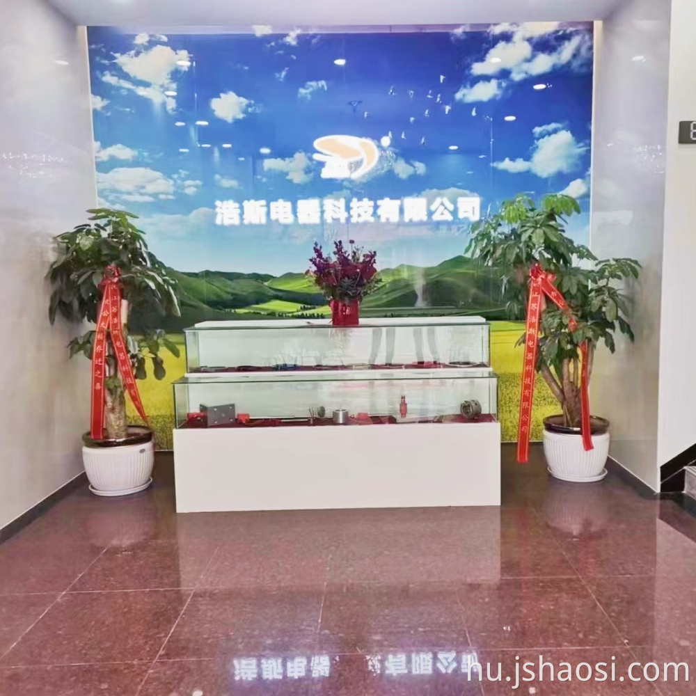 Haoszi belső HAOSI INNER